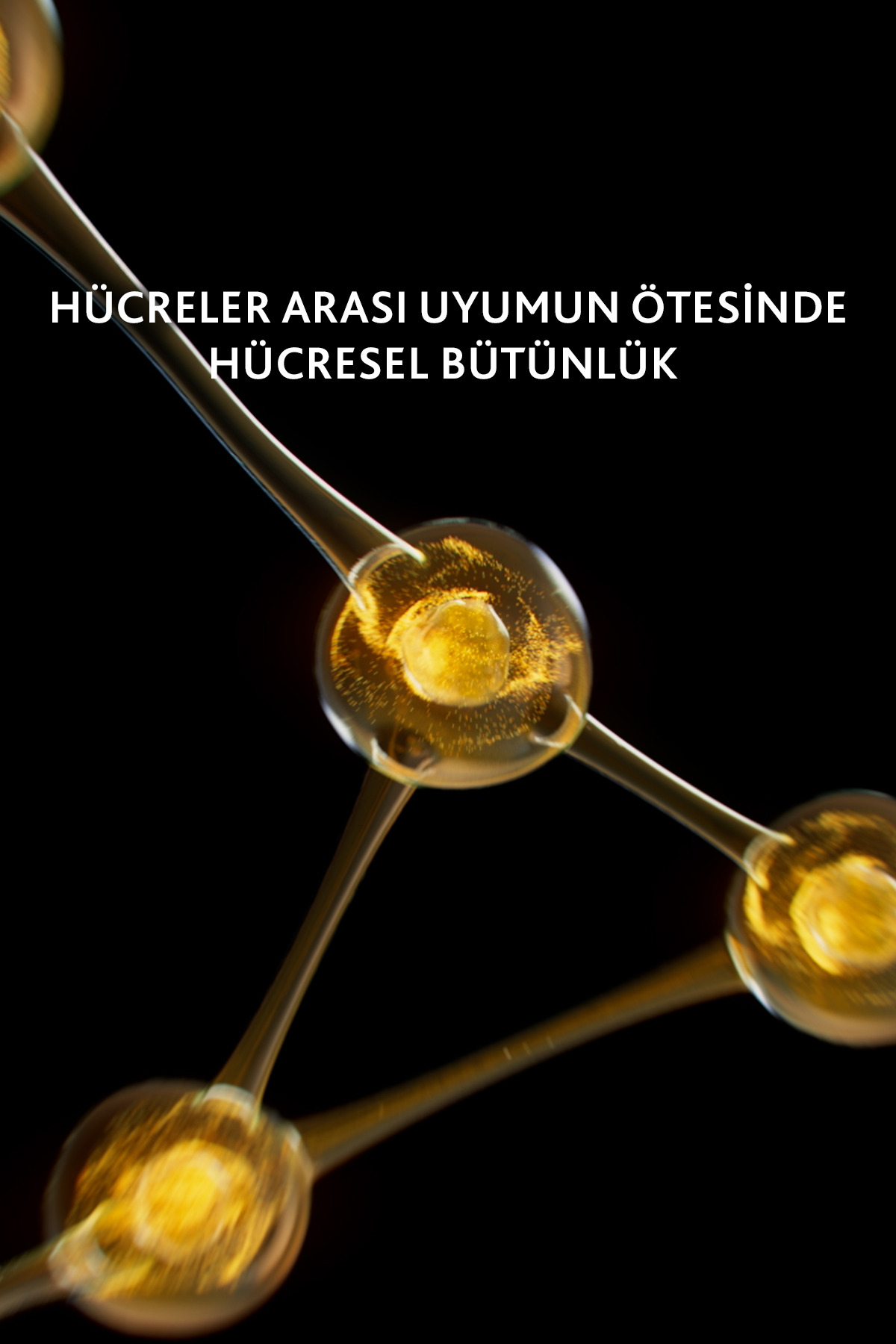 Excellage Chrono-Repair Sleeping Oil Gece Bakımı Yağı 30 ml 2 Excellage Chrono-Repair Sleeping Oil Gece Bakımı Yağı 30 ml - Görsel 2