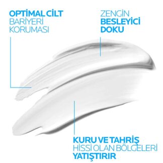 Anasayfa