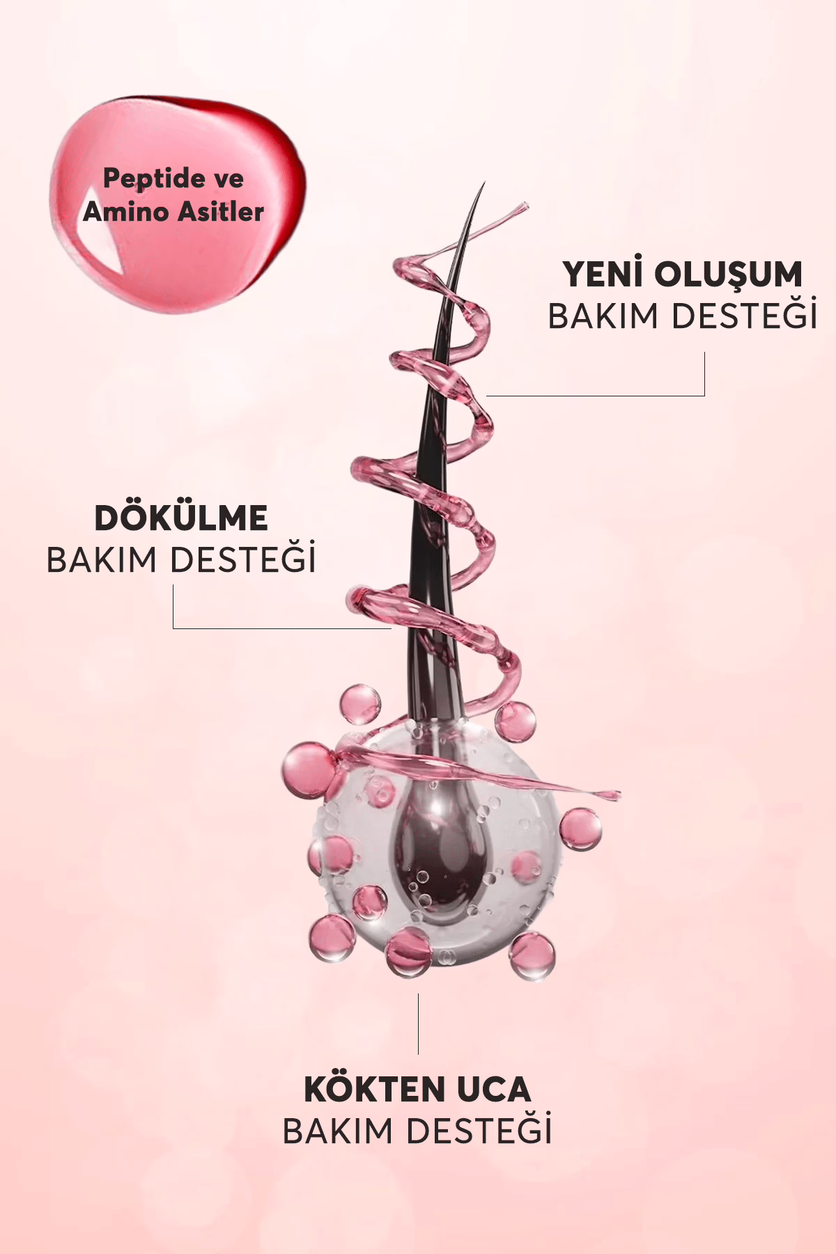 Multi Vitamin Hair Cocktail 2ml x 10 Ampul | Dökülme Karşıtı Saç Bakım Serumu